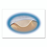 AVERY PRODUCTS CORPORATION 75263 Two-Sided CD Organizer Sheets for Three-Ring Binder, 4 Disc Capacity, Clear, 5/Pack