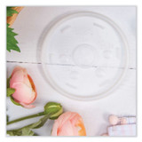 DART 20SL Cold Cup Lids, Fits 8 oz to 32 oz Cold Cups/Containers, Plastic, Translucent, 100/Sleeve, 10 Sleeves/Carton