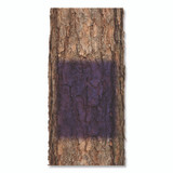 RUST-OLEUM CORPORATION 270970 Specialty No Hunting Purple Spray Paint, Flat No Hunting Purple, 12 oz Aerosol Can