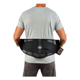 TENACIOUS HOLDINGS, INC. ergodyne® 20185 ProFlex 1051 Mesh Back Support, Large, 34" to 38" Waist, Black