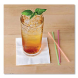 BERK ENTERPRISES INC Berkley Square 1241202 Neon Sip Sticks, 5.5" Polypropylene, Assorted Colors, 1,000/Pack