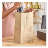 ROSS & WALLACE PAPER PRODUCTS, INC. GX2560S Grocery Paper Bags, 25# Squat Size, Extra-Heavy-Duty, 60# Basis Weight, 8.25" x 5.25" x 16.13", Kraft, 500/Bundle