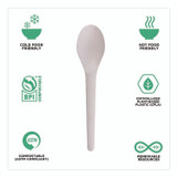 ECO-PRODUCTS,INC. EP-S013 Plantware Compostable Cutlery, Spoon, Plastic, Pearl White, 50/Pack, 20 Pack/Carton