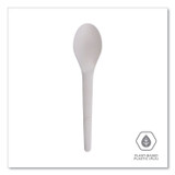 ECO-PRODUCTS,INC. EP-S013 Plantware Compostable Cutlery, Spoon, 6", Pearl White, 50/Pack, 20 Pack/Carton