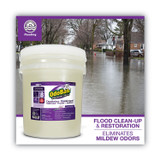 CLEAN CONTROL CORPORATION OdoBan® 911162-5G Concentrated Odor Eliminator and Disinfectant, Lavender Scent, 5 gal Pail