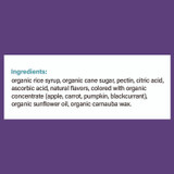 ADVANTUS CORPORATION YumEarth 22002288 Organic Fruit Snacks, Assorted Flavors, 2 oz Bag, 12/Carton