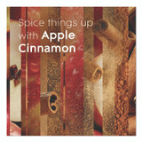 SC JOHNSON Glade® 315104 Plugin Scented Oil Refill, Apple Cinnamon, 0.67 oz, 2/Pack