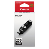 INNOVERA Canon® 6497B001 6497B001 (PGI-250) ChromaLife100+ Ink, 300 Page-Yield, Black