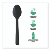 ECO-PRODUCTS,INC. EP-S113 100% Recycled Content Cutlery, Spoon, Plastic, Black, 50/Pack, 20 Pack/Carton