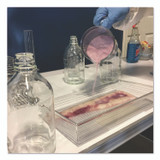 ABSORBENT SPECIALTY PRODUCTS Quick Dam ACIDPAIL Acid Neutralizer, 12.1 to 60.36 L, 5 gal Pail