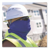 TENACIOUS HOLDINGS, INC. ergodyne® 42138 Chill-Its 6493FR FR Cooling Neck Gaiter, Modacrylic Knit, One Size Fits Most, Blue