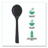ECO-PRODUCTS,INC. EP-S114 100% Recycled Content Cutlery, Soup Spoon, Plastic, Black, 50/Pack, 20 Packs/Carton