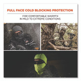 TENACIOUS HOLDINGS, INC. ergodyne® 16823 N-Ferno 6823 Hinged Balaclava Face Mask, Fleece, One Size Fits Most, Black