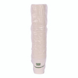 ECO-PRODUCTS,INC. EP-BHC8-GS GreenStripe Renewable and Compostable Hot Cups, 8 oz, Paper, White/Green, 50/Pack, 20 Packs/Carton