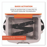 TENACIOUS HOLDINGS, INC. ergodyne® 12329 Chill-Its 6700 Cooling Bandana Polymer Tie Headband, One Size Fits Most, Skulls