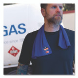 TENACIOUS HOLDINGS, INC. ergodyne® 12437 Chill-Its 6606FR FR Cooling Towel, Modacrylic Knit, One Size Fits Most, Blue