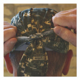 TENACIOUS HOLDINGS, INC. ergodyne® 12478 Chill-Its 6615 High-Performance Bandana Doo Rag with Terry Cloth Sweatband, One Size Fits Most, Camo