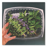 ECO-PRODUCTS,INC. EP-RC24 Renewable and Compostable Rectangular Deli Containers with Lid, 24 oz, 4 x 5.5 x 2, Clear, Plastic, 50/Pack, 4 Packs/Carton