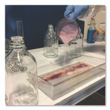 ABSORBENT SPECIALTY PRODUCTS Quick Dam™ ACID1 Acid Neutralizer, 2.42 L to 12.02 L, 1 gal Bottle