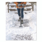 SUNCAST CORPORATION SPUH3000D UHMW Snow Pusher, 30" Width, 55" Length