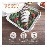 WORLD CENTRIC CASC104TLLF Fiber Catering Pans, 3 Compartments, 10.3 x 2.8 x 12.8, Paper, Natural, 200/Carton