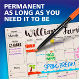 Newell Brands Expo 16003A Expo Vis-A-Vis Wet-Erase Markers Newell Brands Expo 16003A Expo Vis-A-Vis Wet-Erase Markers
