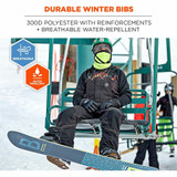 Tenacious Holdings, Inc Ergodyne 41222 Ergodyne 6472 Insulated Bib Overalls