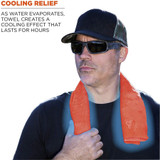 Tenacious Holdings, Inc Chill-Its 12441 Chill-Its Evaporative Cooling Towel