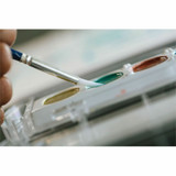 Dixon Ticonderoga Company Prang 80515 Prang Glitter Watercolors Set