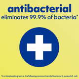 Colgate-Palmolive Company Softsoap US03563ACT Softsoap Antibacterial Soap Pump