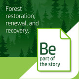 International Paper Company HP Papers 203000 HP Papers BrightWhite24 Office Paper - White