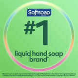 Colgate-Palmolive Company Softsoap 61036483CT Softsoap Professional Hand Soap