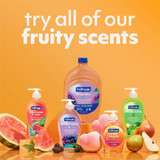 Colgate-Palmolive Company Softsoap US07326A Softsoap Antibacterial Liquid Hand Soap