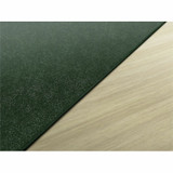 Flagship Carpets, LLC Flagship Carpets TS26EG Flagship Carpets Amerisoft Solid Color Rug