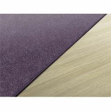 Flagship Carpets, LLC Flagship Carpets TS34PP Flagship Carpets Amerisoft Solid Color Rug