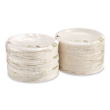 GEORGIA PACIFIC Dixie® UX9PATHPB Pathways Medium-Weight Paper Plates, 8.5" dia, Pathways, 300/Box, 2 Boxes/Carton