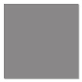 RUST-OLEUM CORPORATION 7584838 Professional Galvanizing Compound, Flat Bright Gray, 20 oz Aerosol Can, 6/Carton