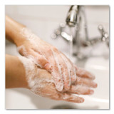 DIAL PROFESSIONAL 02936EA Original Antibacterial Foaming Hand Wash, Original Scent, 7.5 oz