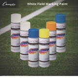 CHAMPION SPORT Sports FMP2W Field Marking Paint, 18 oz Aerosol Spray, White