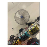 GLOBAL INDUSTRIAL 293019 Washdown Wall Mount Fan, 1 Speed, 30"