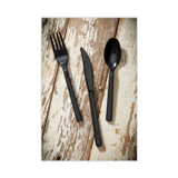 PACTIV EVERGREEN CORPORATION YMWSSE Meadoware Cutlery, Medium Heavyweight Soup Spoon, Plastic, Black, 1,000/Carton
