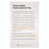 STARBUCKS COFFEE COMPANY Tazo® 00305 Tea Bags, Organic Chai, 16/Box, 6 Boxes/Carton