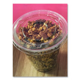 KARAT BY LOLLICUP CKC626TSNH PET Lids, No Hole Flat Lid, 12 oz to 24 oz Cold Cups, Plastic, Clear, 1,000/Carton