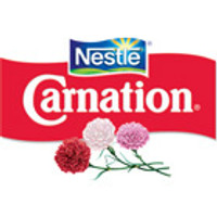 Carnation