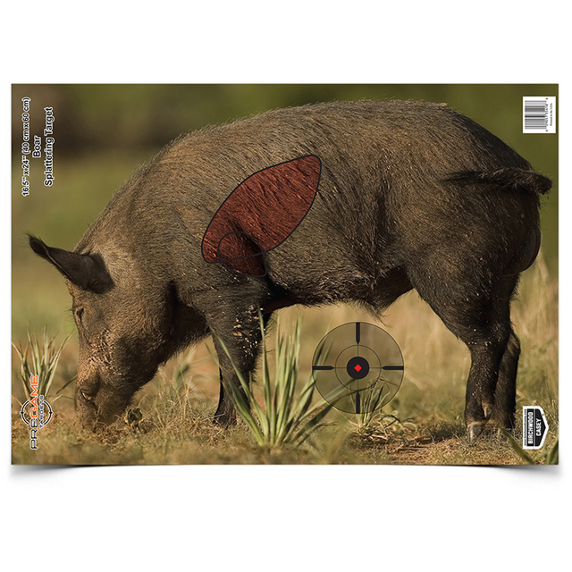 Birchwood Casey BC-35408 PREGAME 16.5 x 24 Inch Boar, 3 Targets