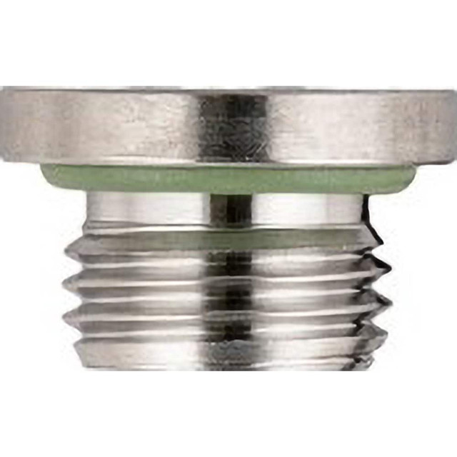 Aignep USA 62315-1/8 Pipe Male Plug BSPP: 1/8" Fitting, 316L Stainless Steel