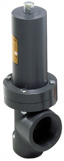 Plast-O-Matic RVTX300EP-PV Angle Relief Valve: 3" Inlet, 100 Max psi