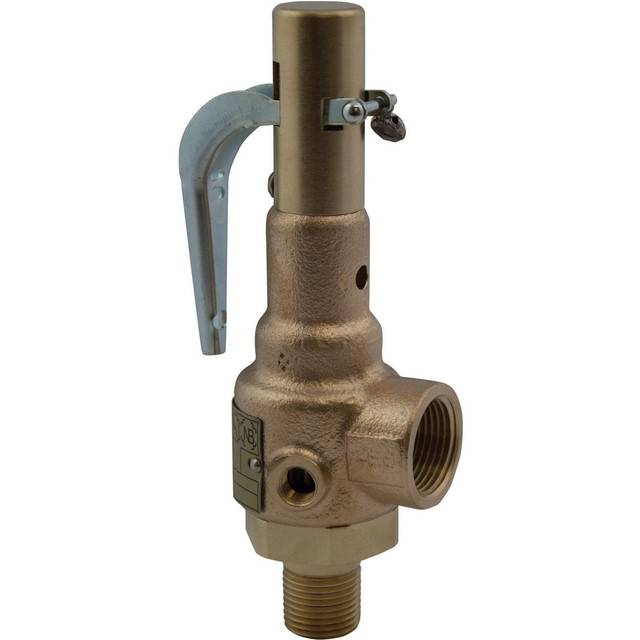 Apollo. 19KGFK150ABJ Anti-Vibration Trim Safety Relief Valve: 1-1/4" Inlet, 150 Max psi