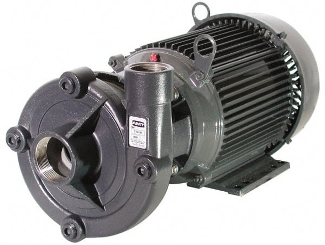 American Machine & Tool 3150-999-98 AC Straight Pump: 230/460V, 2 hp, 3 Phase, Stainless Steel Housing, Stainless Steel Impeller
