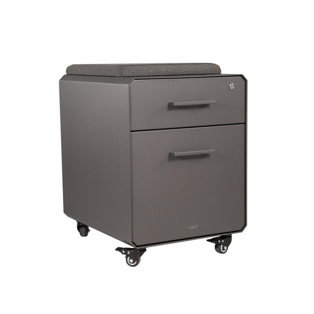 VARIDESK LLC 400743 VARIDESK Vari Seated 20inD Vertical File Cabinet, Slate